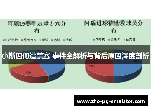 小斯因何遭禁赛 事件全解析与背后原因深度剖析 小斯因何遭禁赛 事件全解析与背后原因深度剖析