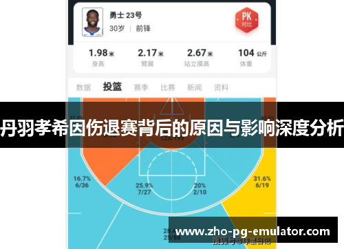 丹羽孝希因伤退赛背后的原因与影响深度分析