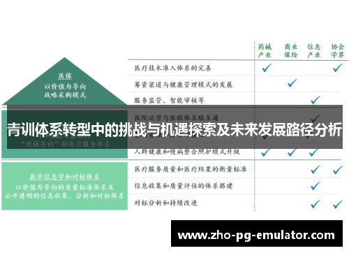 青训体系转型中的挑战与机遇探索及未来发展路径分析 青训体系转型中的挑战与机遇探索及未来发展路径分析