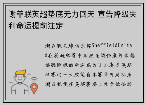 谢菲联英超垫底无力回天 宣告降级失利命运提前注定 谢菲联英超垫底无力回天 宣告降级失利命运提前注定